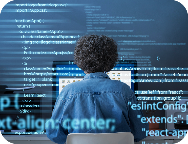 Developer